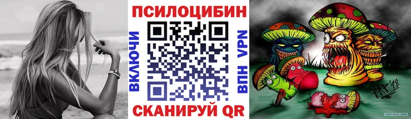 Псилоцибиновые грибы Cubensis  даркнет сайт  Слюдянка 